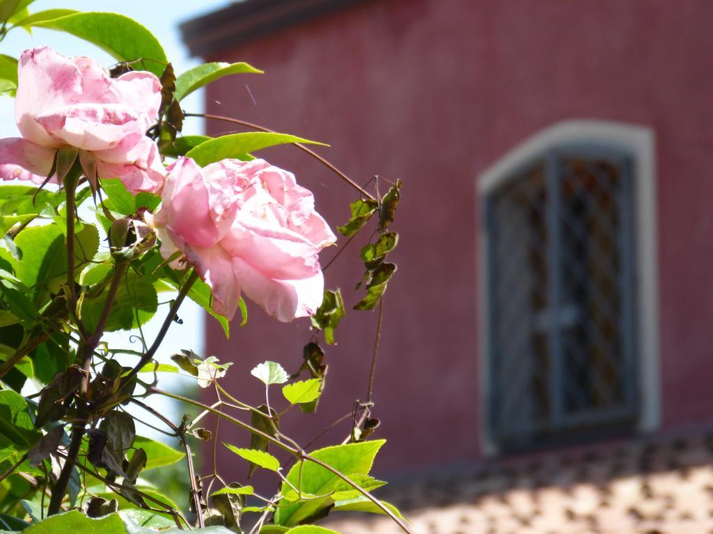 L'Orto Dei Semplici Affittacamere Mascali Esterno foto